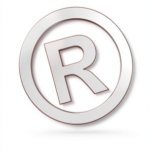 Trademark Law Kindle Book Brandaide Press 0.99-0